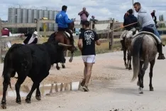 Foto 10 - 40 fotos `populares&acute; de las Fiestas de San Juan 2017