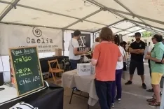 Foto 13 - Golmayo celebra este s&aacute;bado la segunda fiesta de la cerveza con 10 fabricantes artesanales