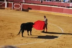 Una de las imágenes del festejo del Domingo de Calderas. /SN