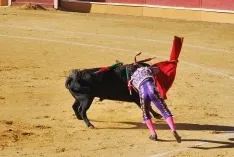 Una de las imágenes del festejo del Domingo de Calderas. /SN