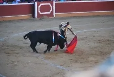 Una de las imágenes del festejo del Domingo de Calderas. /SN