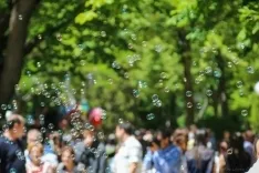 Foto 59 - 40 fotos `populares&acute; de las Fiestas de San Juan 2017