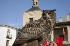 Burgo de Osma / María Ferrer