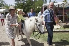Almarza / María Ferrer