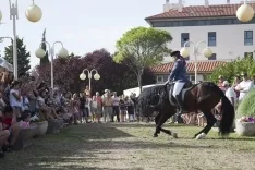 Almarza / María Ferrer