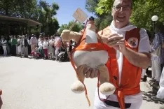 Domingo Calderas 2017 / María Ferrer