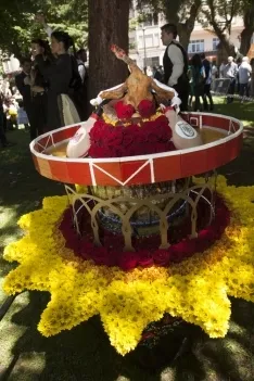 Domingo Calderas 2017 / María Ferrer