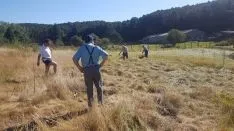 Los vecinos han recordado antiguas tareas tradicionales del monte. / S.N.