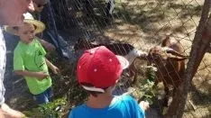 Los vecinos han recordado antiguas tareas tradicionales del monte. / S.N.