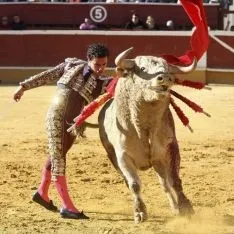 Foto 6 - Padilla sale por la puerta grande tras cortar una oreja a cada uno de su lote