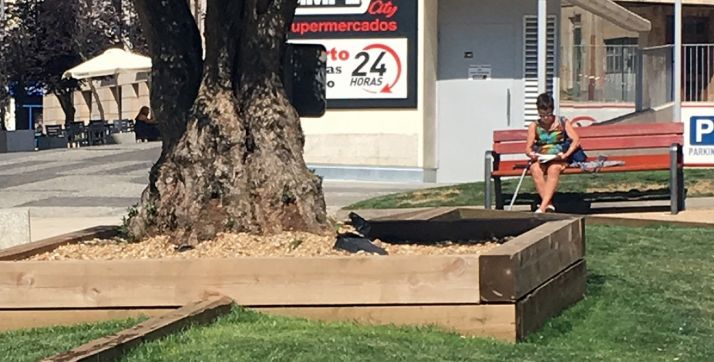 Uno de los bancos instalados.