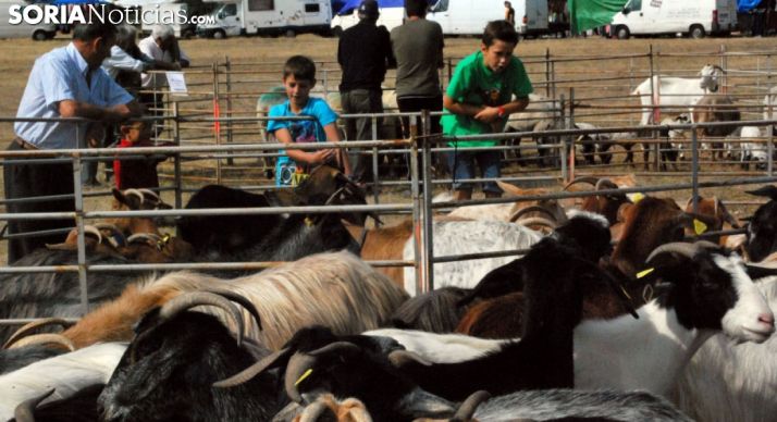 Una feria de ganado en Pinares./SN