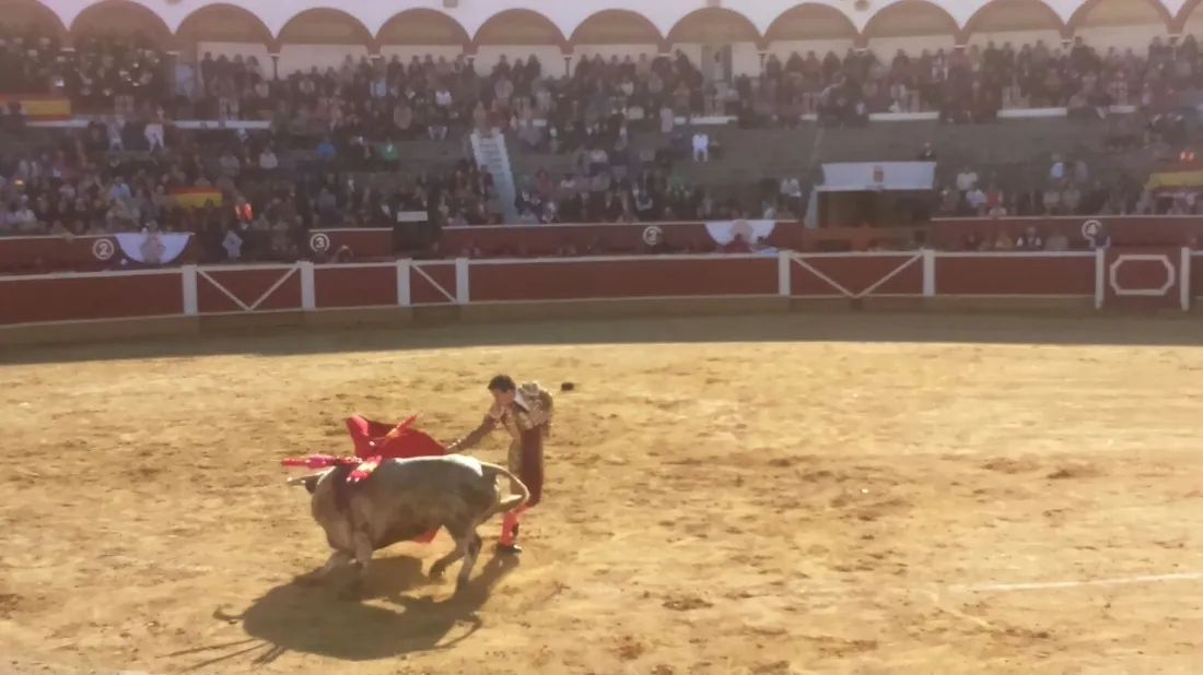 Foto 11 - Padilla sale por la puerta grande tras cortar una oreja a cada uno de su lote