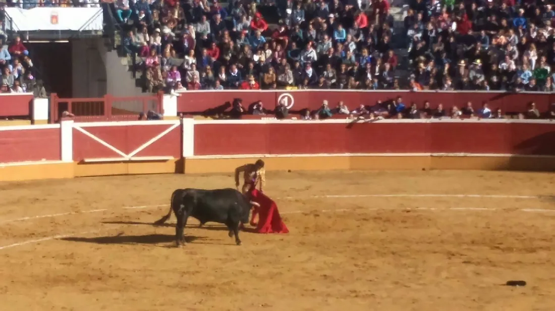 Foto 10 - Padilla sale por la puerta grande tras cortar una oreja a cada uno de su lote