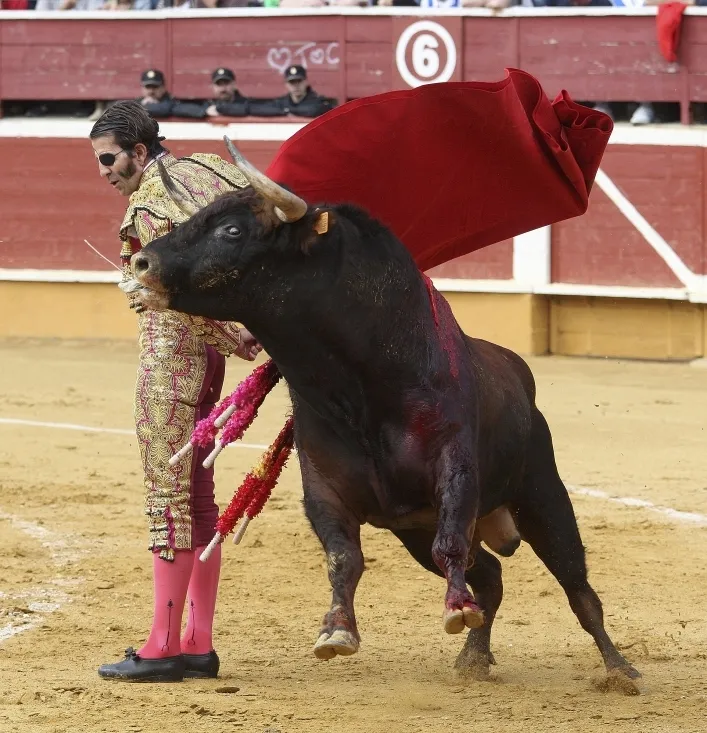 Foto 8 - Padilla sale por la puerta grande tras cortar una oreja a cada uno de su lote