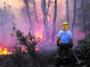Foto 1 - Cien personas trabajan para controlar el incendio forestal de Hoyocasero