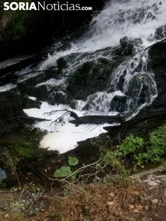 La Cascada de las Truchas, en el Cañón del Val./SN