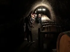 Foto 4 - Los &ldquo;sonor&aacute;micos&rdquo;  cierran el festival recorriendo las bodegas de la Ribera del Duero