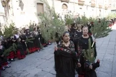 Vinuesa / María Ferrer