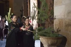 Vinuesa / María Ferrer