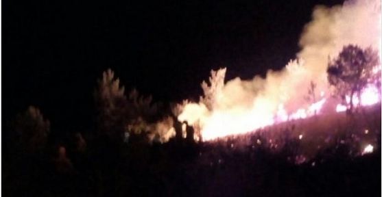 Imagen el fuego en Berlanga. / APAMCYL