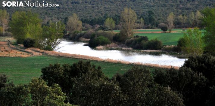 El Duero antes de llegar a Almazán este pasado mayo./SN