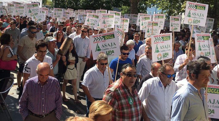 Una imagen de la manifestación este miércoles./AS