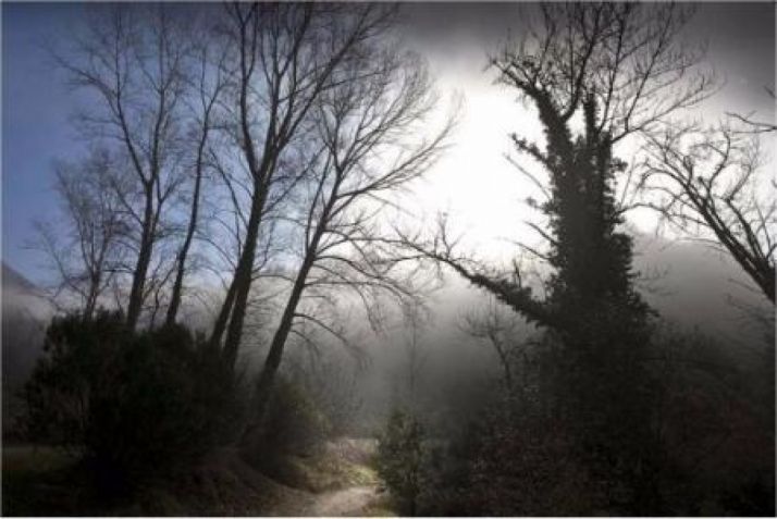 Una fotografía de la exposición.