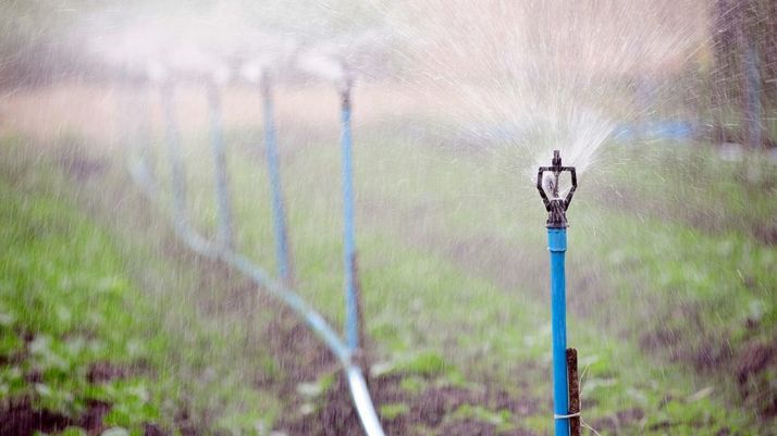 Campos de regadío en la provincia.