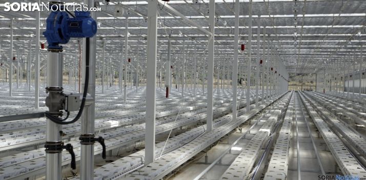 Planta de cultivo floral en Garray./SN