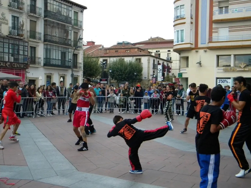 Foto 10 - Mariano Granados acoge una exhibici&oacute;n de boxeo y kick boxing