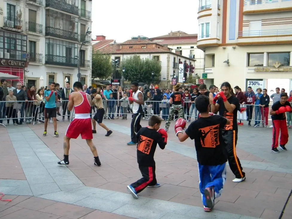 Foto 9 - Mariano Granados acoge una exhibici&oacute;n de boxeo y kick boxing