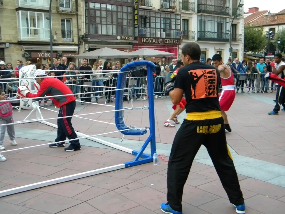 Foto 8 - Mariano Granados acoge una exhibici&oacute;n de boxeo y kick boxing