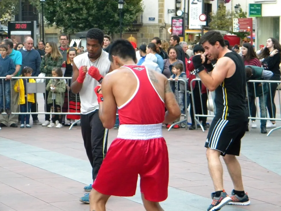 Foto 2 - Mariano Granados acoge una exhibici&oacute;n de boxeo y kick boxing
