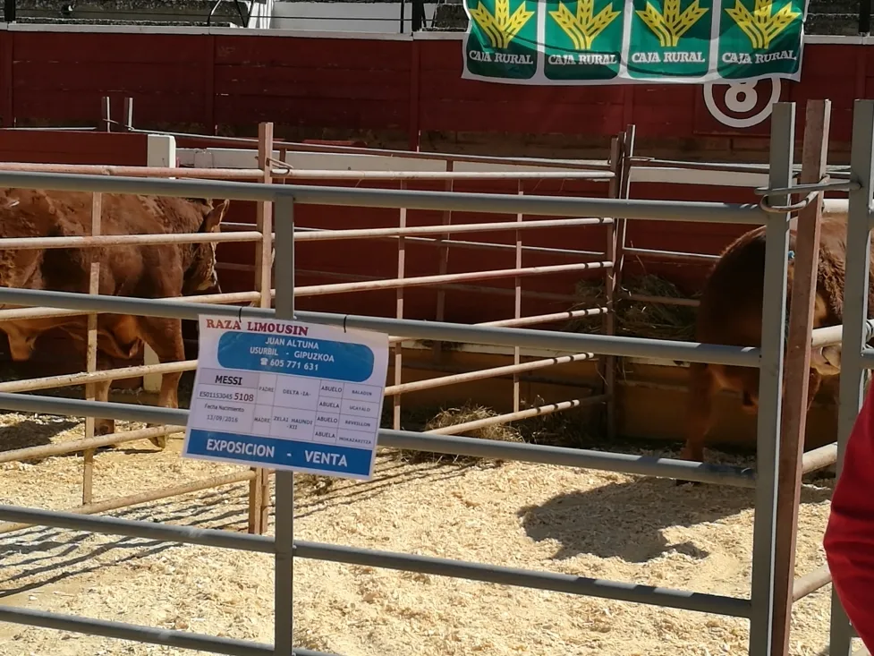 Foto 8 - La IX feria ganadera de Soria abre sus puertas