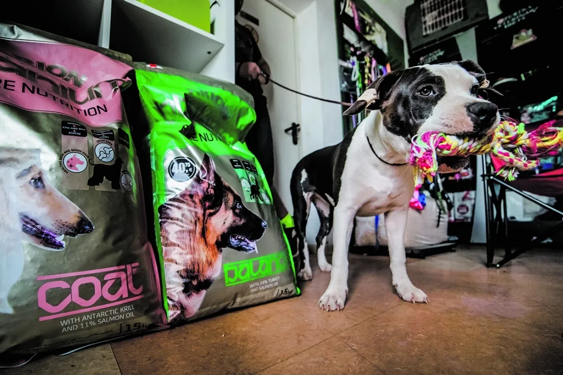Foto 7 - 4 a&ntilde;os cumpliendo el sue&ntilde;o de cuidar de los perros 24 horas al d&iacute;a 