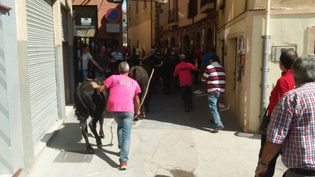 Foto 11 - &Aacute;greda se prepara para las fiestas con la celebraci&oacute;n de la II Trashumancia