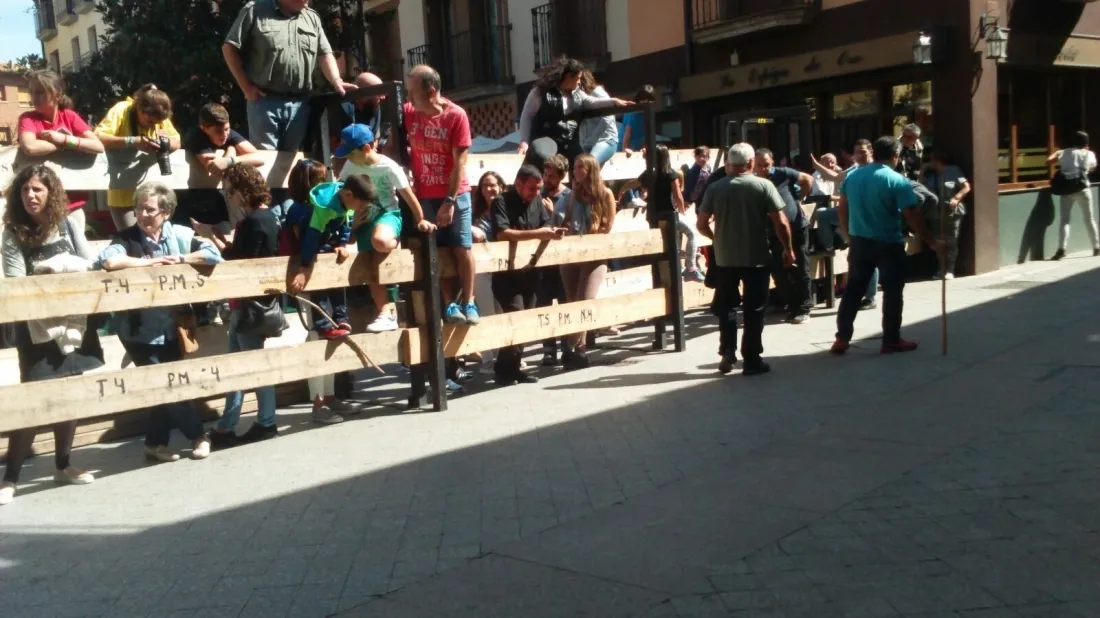 Foto 10 - &Aacute;greda se prepara para las fiestas con la celebraci&oacute;n de la II Trashumancia