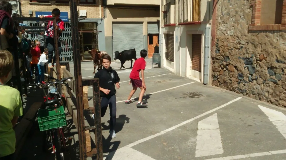 Foto 7 - &Aacute;greda se prepara para las fiestas con la celebraci&oacute;n de la II Trashumancia
