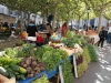 Foto 2 - Celebrado el XXIII mercado ecológico en la capital