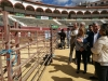 Foto 2 - La IX feria ganadera de Soria abre sus puertas