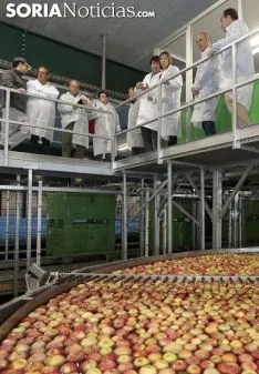 Imagen de la visita de Milagros Marcos a Nufri, este lunes./SN