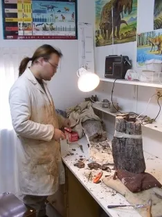 Foto 3 - Descubren un nuevo dinosaurio soriano: El 'Soriatitan Golmayensis'