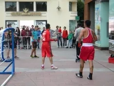 Foto 15 - Mariano Granados acoge una exhibici&oacute;n de boxeo y kick boxing