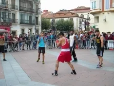 Foto 4 - Mariano Granados acoge una exhibici&oacute;n de boxeo y kick boxing