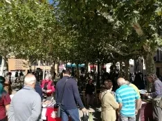 Foto 6 - Celebrado el XXIII mercado ecol&oacute;gico en la capital
