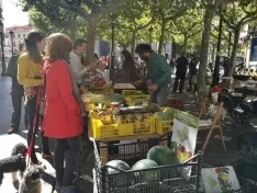 Foto 4 - Celebrado el XXIII mercado ecol&oacute;gico en la capital