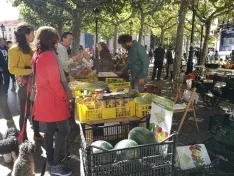 Foto 3 - Celebrado el XXIII mercado ecol&oacute;gico en la capital