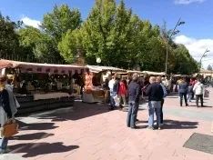 Foto 16 - La IX feria ganadera de Soria abre sus puertas