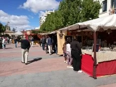 Foto 15 - La IX feria ganadera de Soria abre sus puertas